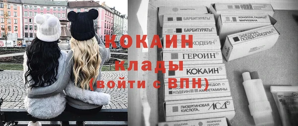 МДПВ Абаза